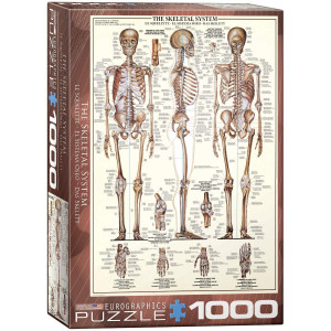 Eurographics Skeletal System Chart Puzzle 1000Piece 60003970 Brown