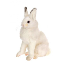 White Bunny Sitting 6