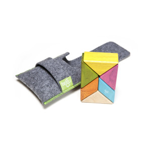 6 Piece Tegu Pocket Pouch Prism Magnetic Wooden Block Set Tints