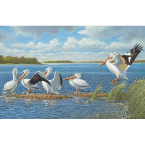 Cobble Hill Pelicans Jigsaw Puzzle 1000 Piece