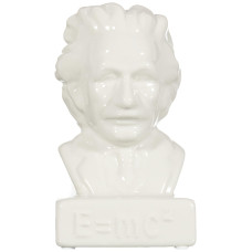 Kikkerland Einstein Money Bank