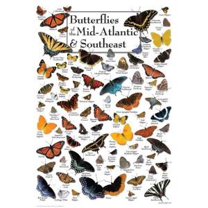 Butterflies Of The Midatlantic And Southeast 550 Piece Puzzle Made In The Usa