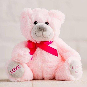 Hug For Your Heart Pink Love Bear