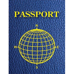 Ashley Productions Blank Passports Pack Of 12 Set Of 12