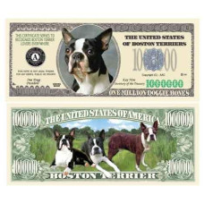 American Art Classics Boston Terrier Million Dollar Bill Pack Of 5 Best Gift For Lovers Of Boston Terriers