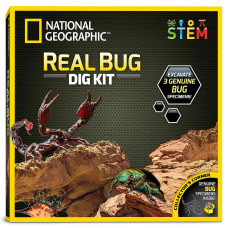 National Geographic Real Bug Dig Kit Dig Up 3 Real Insects Including Spider Fortune Beetle And Scorpion Great Stem Science