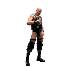 Bandai Tamashii Nations Sh Figuarts Stone Cold Steve Austin Wwe Action Figure