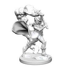 Wizkids Pathfinder Deep Cuts Unpainted Miniatures Wave 1 Human Female Cleric