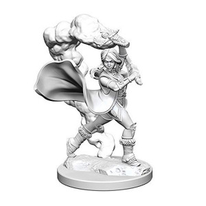 Wizkids Pathfinder Deep Cuts Unpainted Miniatures Wave 1 Human Female Cleric