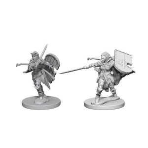 Wizkids Pathfinder Deep Cuts Unpainted Miniatures Human Female Paladin