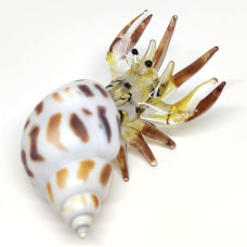 Sansukjai Seashell Hermit Crab Miniature Figurines Beach Animals Hand Blown Glass Art Natural Collectible Gift Decorate Pastel