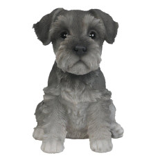 Pacific Giftware Adorable Seated Mini Schnauzer Puppy Collectible Figurine Amazing Dog Likeness Hand Painted Resin 65 Inch Figu