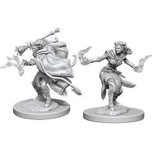 Dd Nolzurs Marvelous Miniatures Female Tiefling Warlock