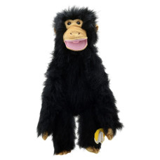 Primates Chimp Medium