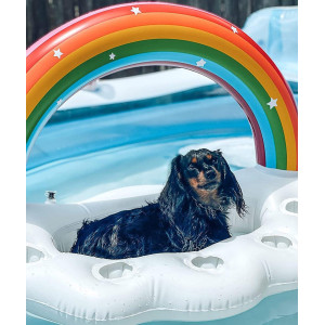 Vickea Inflatable Rainbow Cloud Drink Holder Pool Float Party Accessories For Water Fun