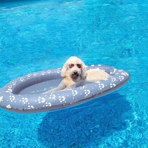 Vercico Dog Pool Float Inflatable Dog Floats For Pool Dog Floaties Swimming Pool Floats For Small Medium Large Dog Puncture Proo