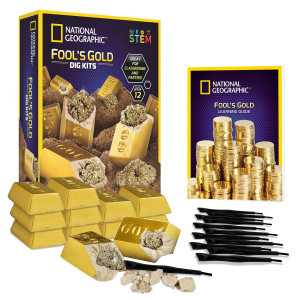 National Geographic Fools Gold Dig Kit 12 Gold Bar Dig Bricks With 23 Pyrite Specimens Inside Party Activity With 12 Excavat