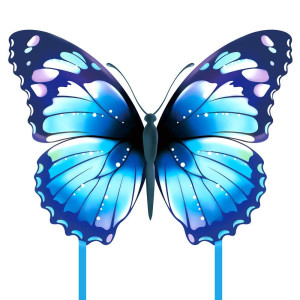 Butterfly Kite Blue