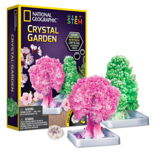 National Geographic Crystal Growing Garden Grow Two Crystal Trees In Just 6 Hours With This Crystal Growing Kit For Kids Incl