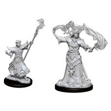 Wizkids Pathfinder Deep Cuts Unpainted Miniatures Wave 11 Male Human Sorcerer