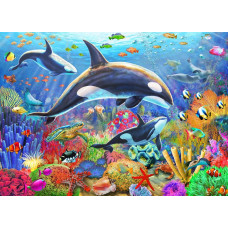 Vermont Christmas Company Orca Fun Jigsaw Puzzle 1000 Piece