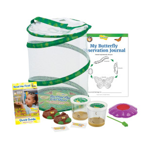 Insect Lore Butterfly Garden Original Habitat And Two Live Cups Of Caterpillars With Stem Butterfly Journal Life Science St