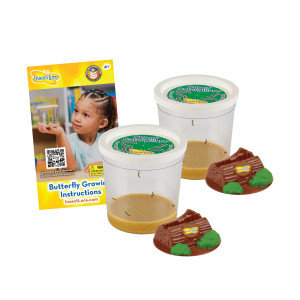 Two Cups Of Caterpillars Life Science Stem Education Butterfly Kit Refill Painted Lady Butterflies Includes Two Chrysa