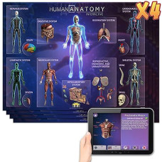 Educational Placemats - Human Anatomy With 4D Interactive App - 4 Pack (Small)