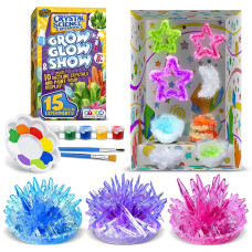 Crystal Growing Kit For Kids 10 Crystals Science Experiment Kit 2 Glow In The Dark Crystals With Diy Paint Display Stand G