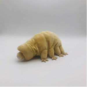 Tammyflyfly Lifelike Sea Creature Tardigrade Water Bear Plush Stuffed Animal Doll