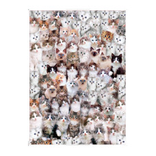 Ilink 1000 Piece Jigsaw Puzzle Cat World 70 X 50 Cm Floor Puzzle Puzzles 1000 Pieces Cardboard Puzzles Relax Puzzles Game