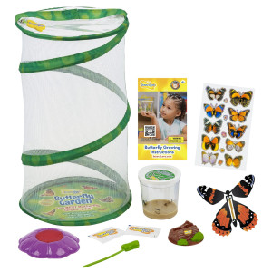 Butterfly Mini Garden Gift Set With Live Cup Of Caterpillars Life Science Stem Education Best Birthday Gift For Boys Gi