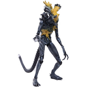 Hiya Toys Aliens Headshot Alien Warrior 118 Scale Action Figure Multicolor