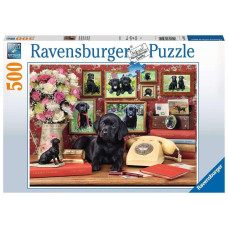 Ravensburger My Loyal Friends 500 Piece Jigsaw Puzzles For Adults Kids Age 10 Years Up