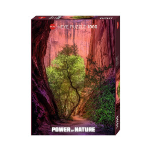 Heye Singing Canyon 1000 Teile Puzzle Orange