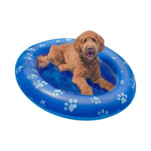 Poolcandy Inflatable Pet Float Easy Set Up Doggy Pool Floats Upto 100Lb Paw Large