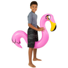 Inflatable Animal Swim Noodles Flamingo