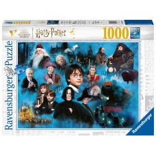 Ravensburger Puzzle 17128 Magic World 1000 Pieces Harry Potter Puzzle For Adults And Children From 14 Years