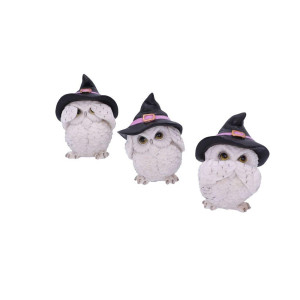 Nemesis Now Three Wise Feathered Familiars Owl Figurine 9Cm White U5736U1