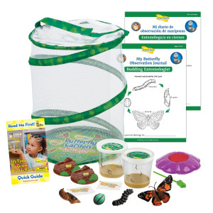 Insect Lore Butterfly Garden With Two Cups Of Live Caterpillars Life Cycle Figurines English And Spanish Butterfly Stem Activi