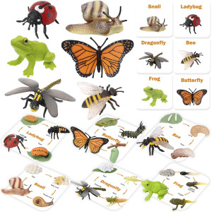 Montessori Life Cycle Animal Figurines Learning Education Toys Plastic Insect Snail Ladybug Bee Dragonfly Monarch Butterfly T