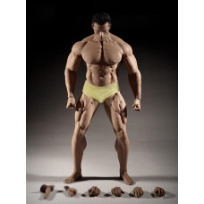 Hiplay Tbleague 16 Scale Seamless Male Action Figure Body 12 Inch Super Flexible Collectible Figure Dolls M35