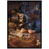 Lilibeths casual conjuring - 100 Matte card Sleeves (FN18S-B) - Fantasy North