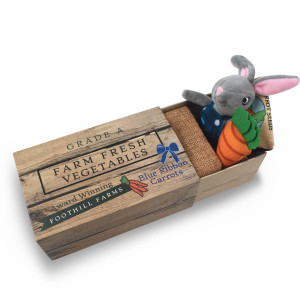 Foothill Toy Co Animals In Boxes Hopper The Garden Rabbit Playset With Stuffed Bunny In A Vegetable Crate Bed