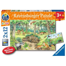 Ravensburger Kinderpuzzle 05673 Tiere Im Wald Und Auf Der Wiese 2X12 Teile Wissensposter Wieso Weshalb Warum Puzzle Fr