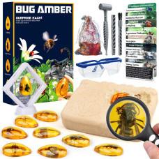 Amber Dig Kit Insects In Resin 8 Insects Specimens Excavation Kit Gemstone Bugs For Kids Fossil Bug Toys Dig Kits For Bugs