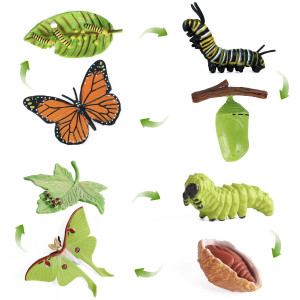 Sienon 4Pcs Butterfly Life Cycle Toy Figurines And 4Pcs Actias Ningpoana Figureplastic Caterpillar To Monarch Butterfly Growth