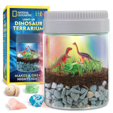 National Geographic Dinosaur Terrarium Kit For Kids Multicolor Light Up Terrarium Kit For Kids Build A Dinosaur Habitat With