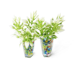 Odoria 112 Miniature Potted Plants 2Pcs Dollhouse Decoration Accessories Multicolored