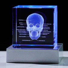 Movdyka 3D Crystal Human Skull Skeleton Model Graduation Gifts For Medical Students Laser Etched Skull Decor Lamp Figurine Pape